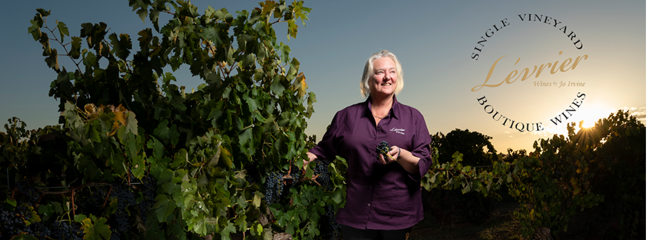 Woman picking grapes at Levrier Wines vineyard